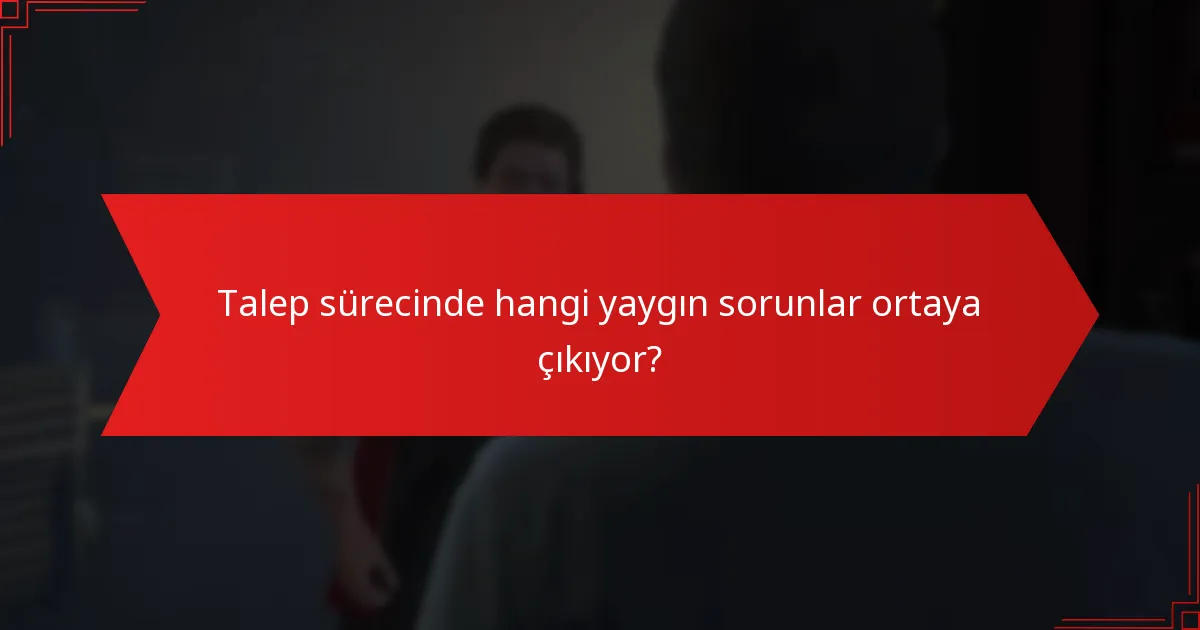 Talep sürecinde hangi yaygın sorunlar ortaya çıkıyor?