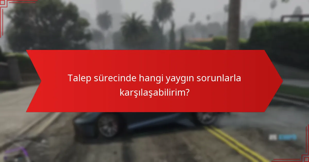 Talep sürecinde hangi yaygın sorunlarla karşılaşabilirim?